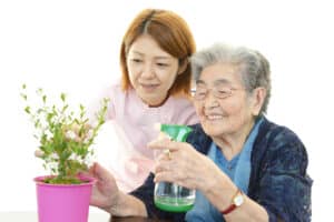 Household Plants for Seniors: Home Care Burke VA